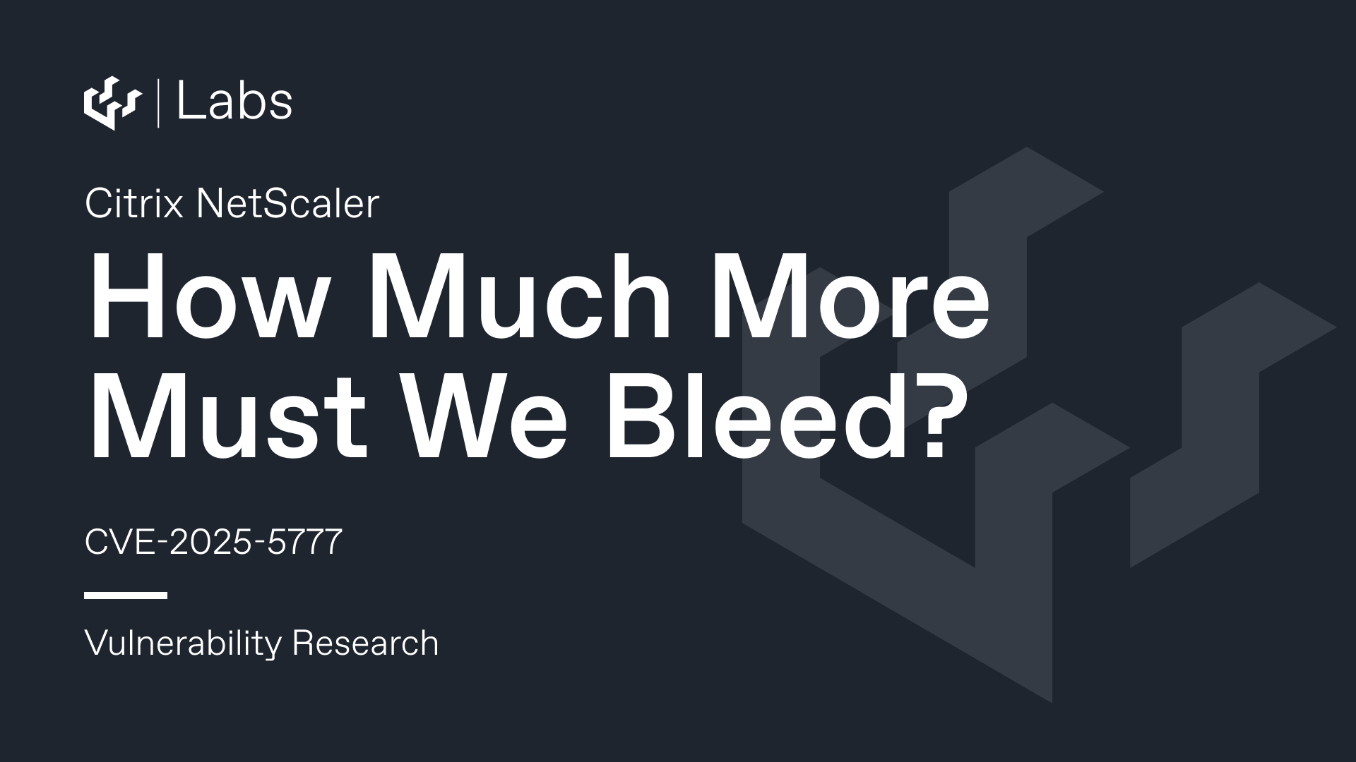 How Much More Must We Bleed? - Citrix NetScaler Memory Disclosure (CitrixBleed 2 CVE-2025-5777)